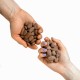 Kakaové bôby v chrumkavej poleve
